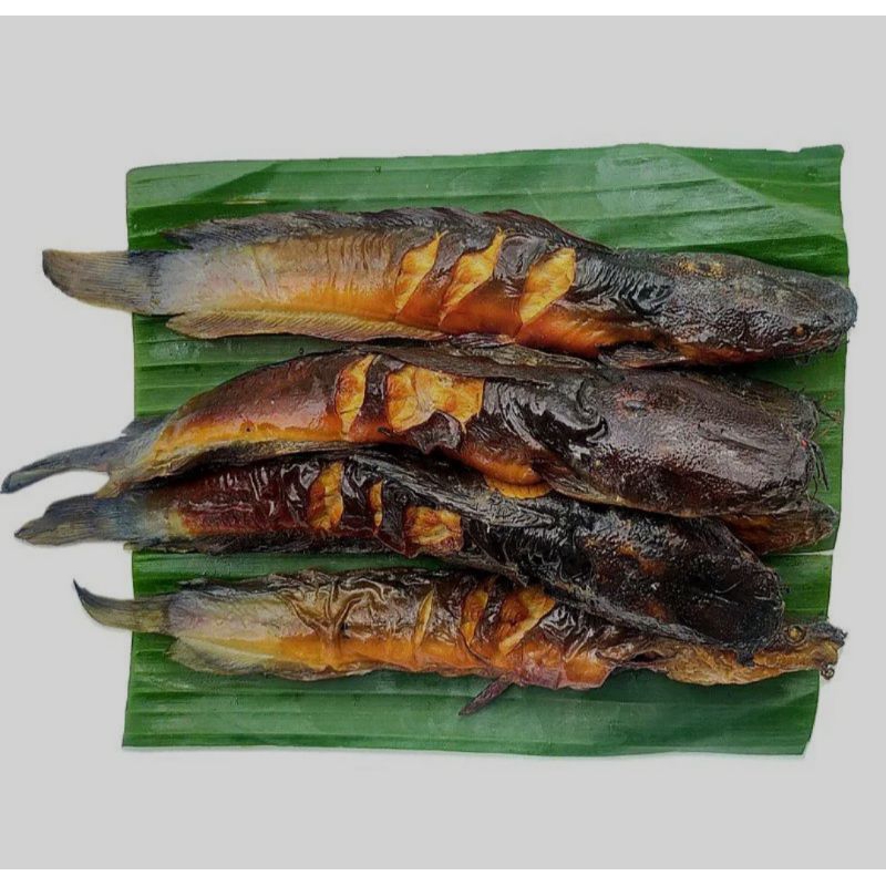 

IKAN LELE ASAP/PANGGANG ENAKK