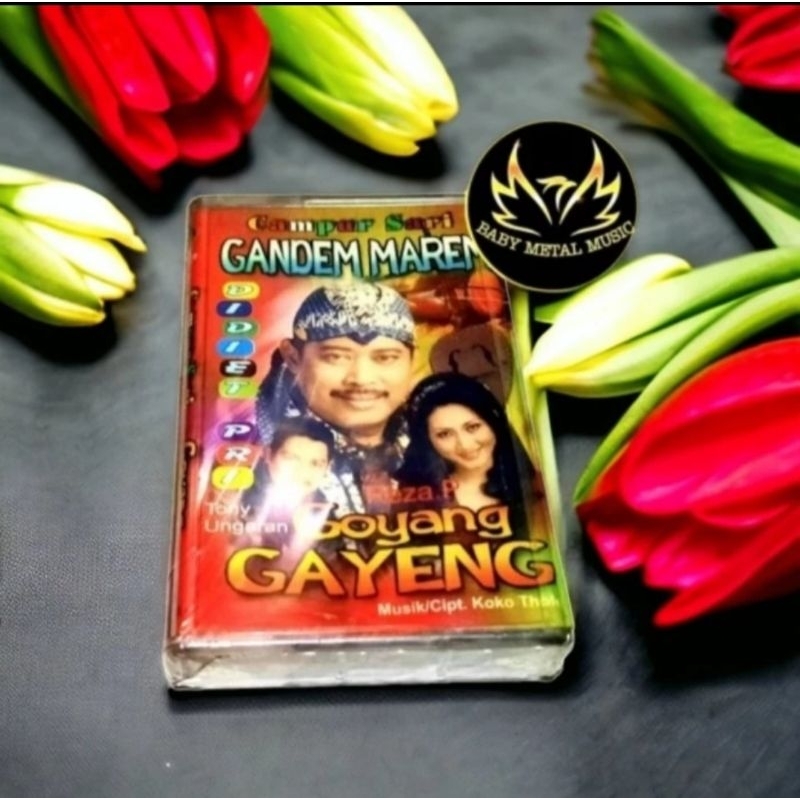 KASET PITA CAMPUR SARI DIDIET PRI GANDEM MAREM