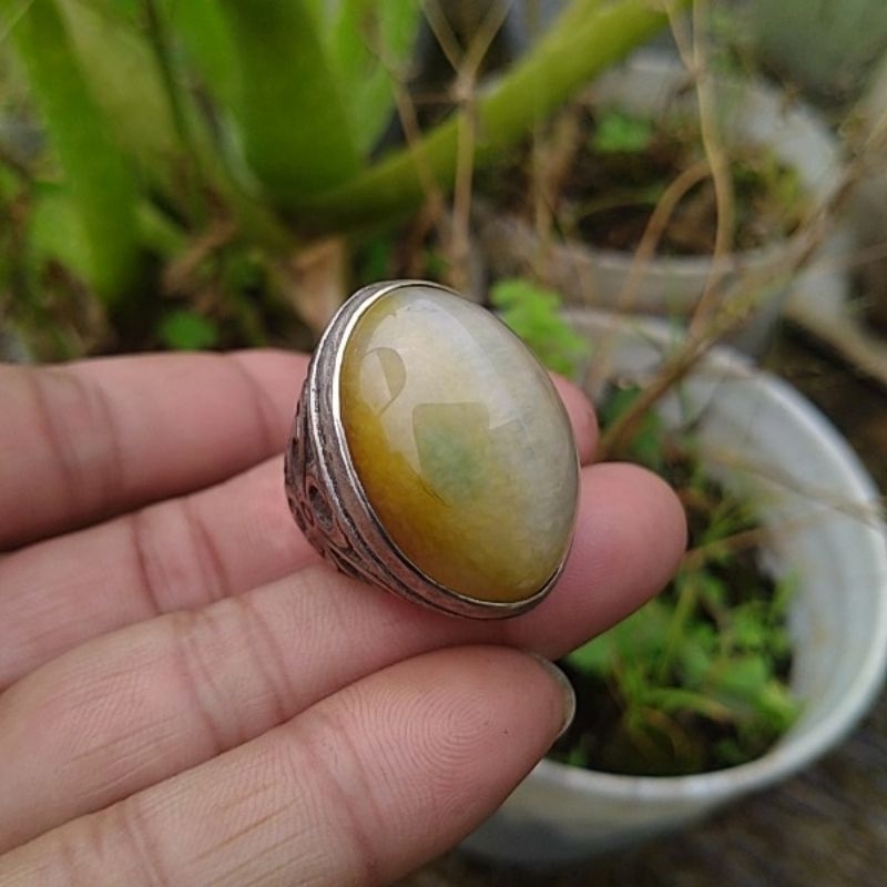 batu akik pandan  semu lumut lawas  jadul ,sisik betik