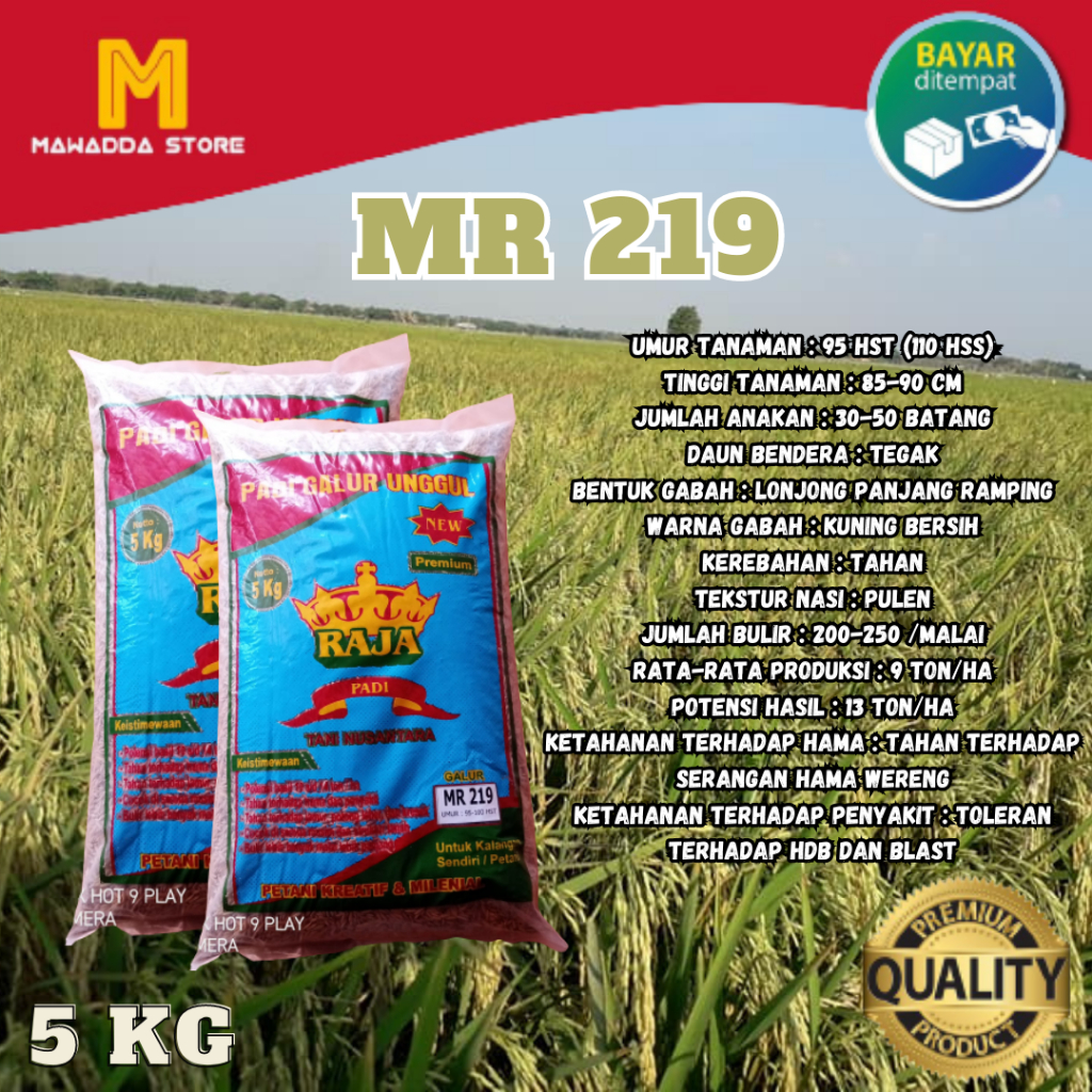 Biji padi Unggul Benih Padi MR219 5KG Premium MR 219