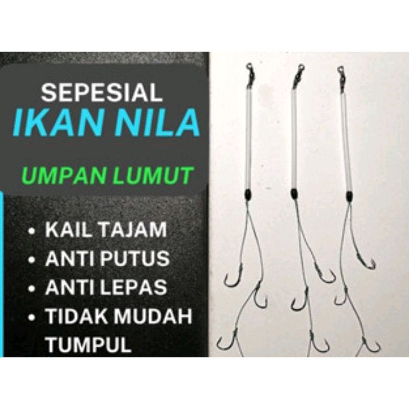 Kail Lumut, Kail Ikan Mujaer/ Nila/ Belanak type kecil