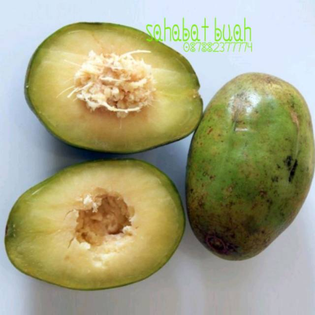 

QUEEN BUAH - BUAH KEDONDONG SUPER