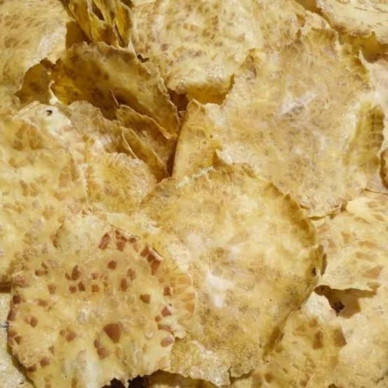 

KERUPUK JENGKOL MENTAH