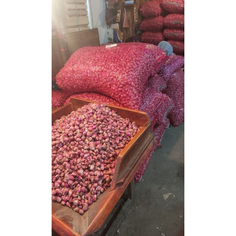

bawang merah asli brebes
