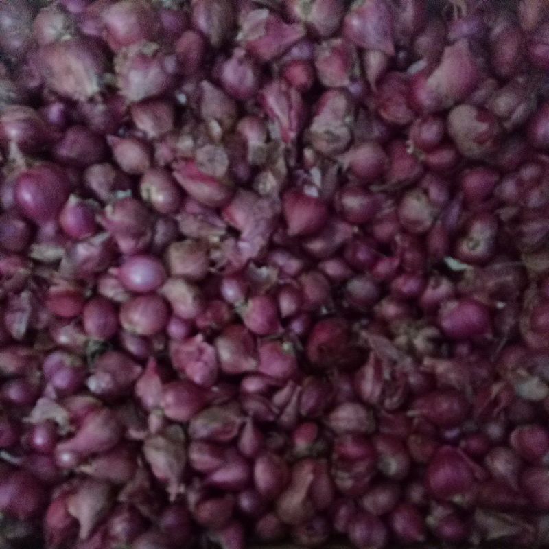 

Bawang merah Nganjuk kemasan 1/2kg