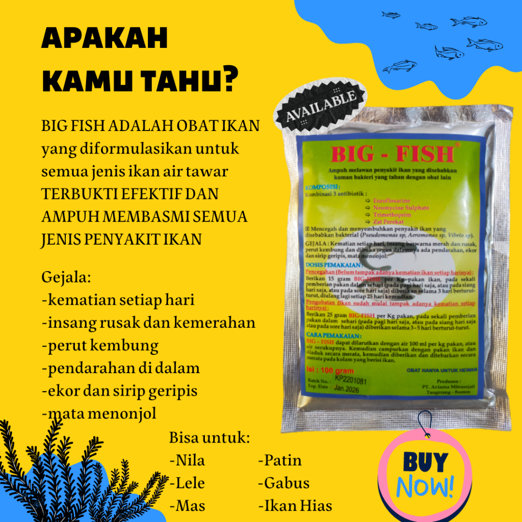 Obat Ikan Big Fish (100 gr) untuk semua jenis ikan air tawar (Nila, Lele, Mas, Patin, Gabus, Ikan Hi