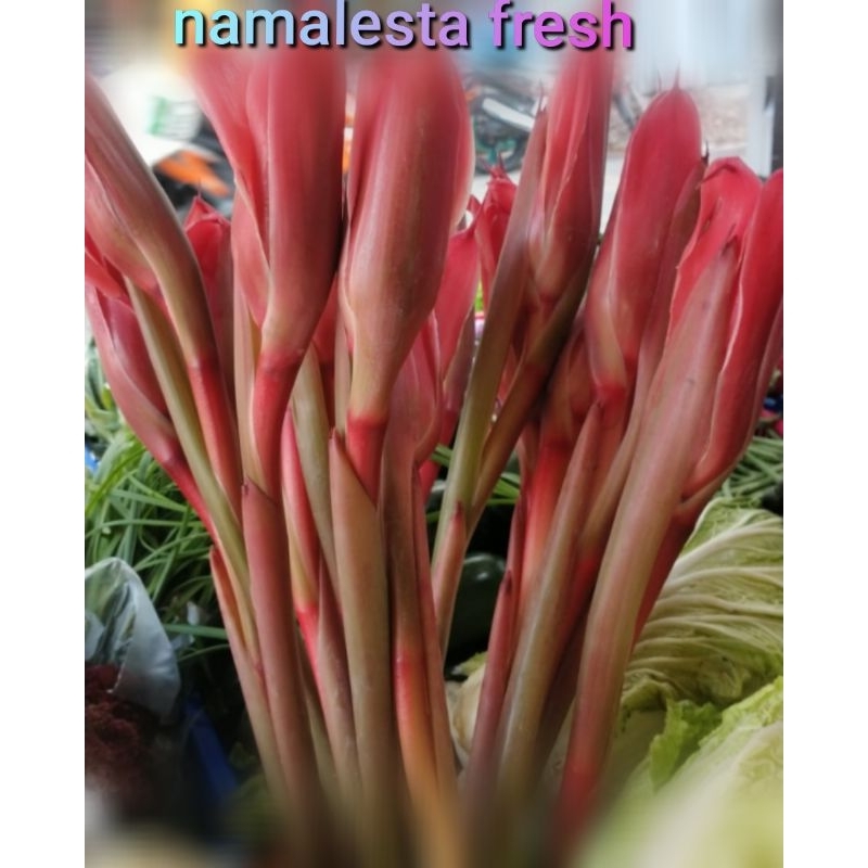 

bunga kecombrang-namafresh