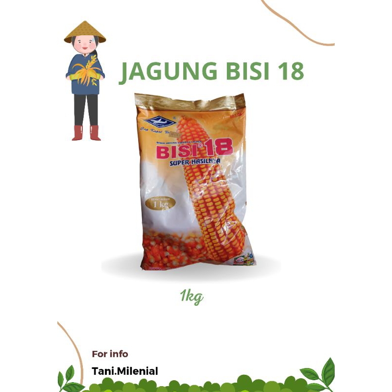 JAGUNG BISI 18 1KG | BENIH JAGUNG