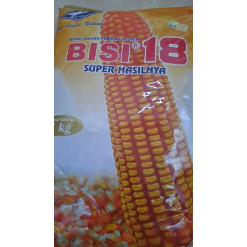 Bisi 18