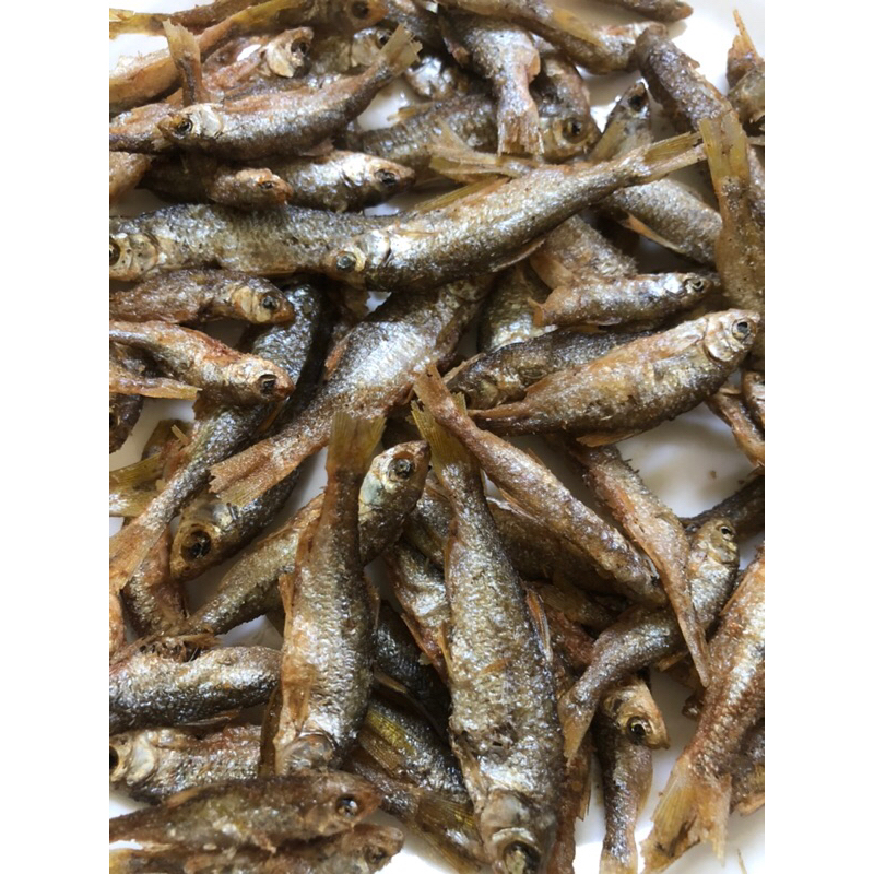 

Murah Banget!!! Ikan Bilih Goreng Asli Danau Singkarak Ikan Bilis Goreng