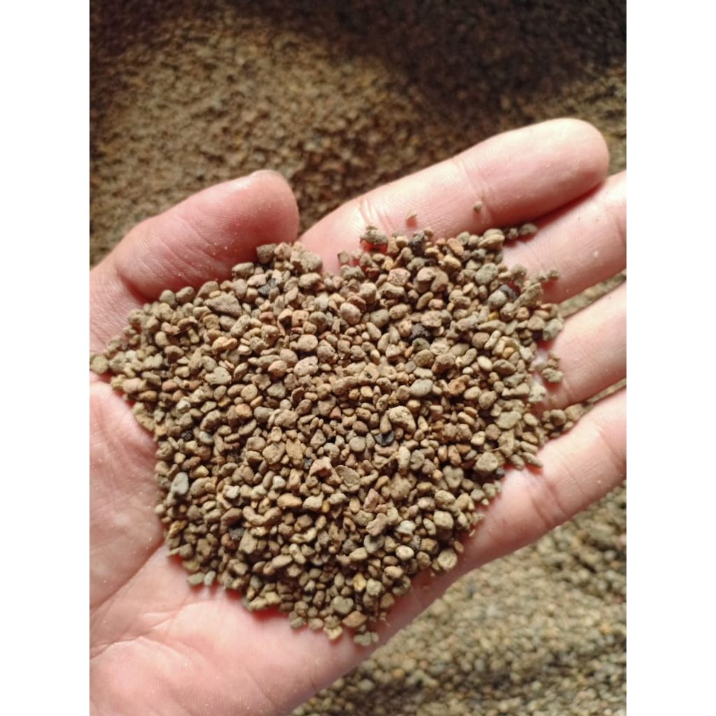 Pumice / Batu Apung / Media tanam kaktus (kemasan 1kg)