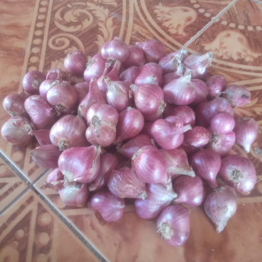 

Bawang Merah Kelas Super