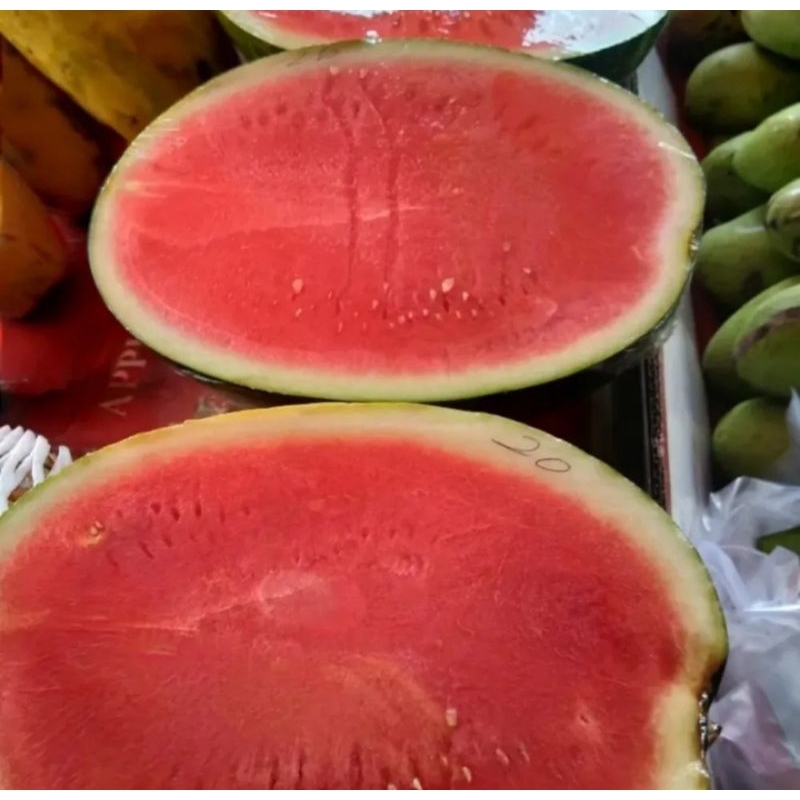 Semangka non bini merah