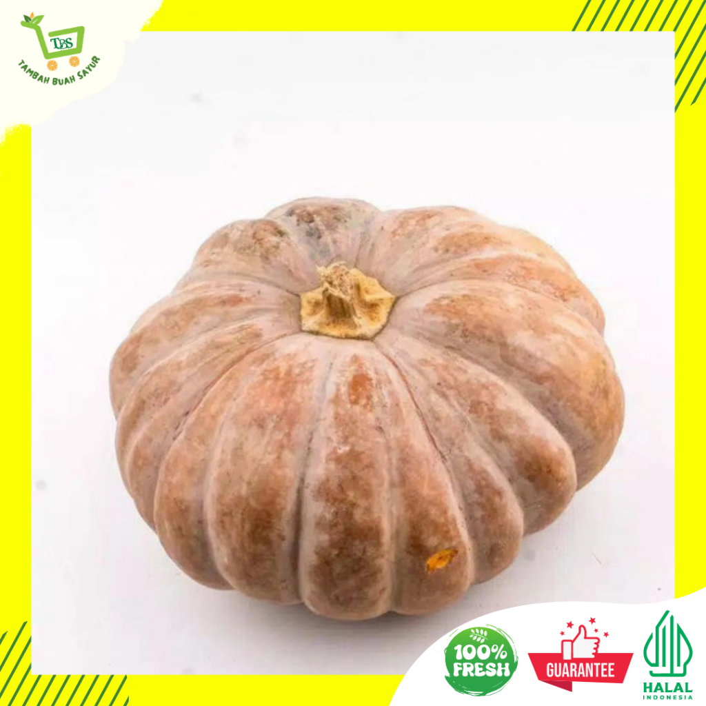 

LABU KUNING| LABU PARANG JUMBO