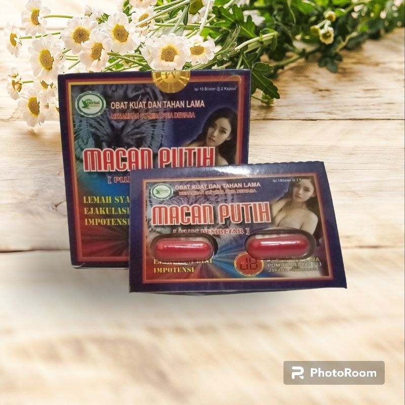 kapsul macan putih ori