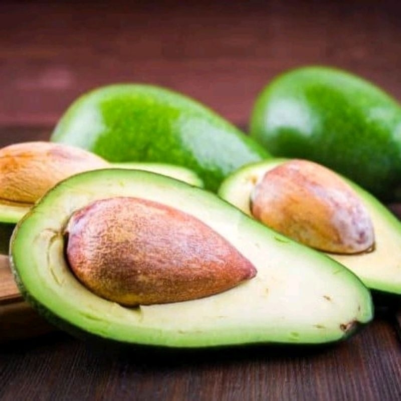 

Tepung Pati Biji Alpukat