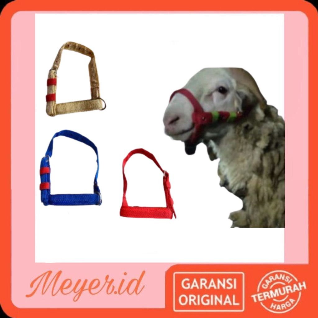[COD] Brangus Kambing,Domba - Tali mulut / Halter