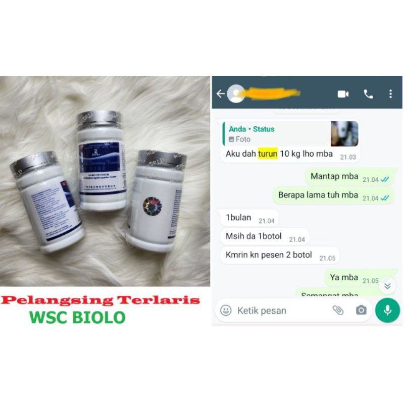 Pelangsing Biolo WSC Asli Import Wootekh