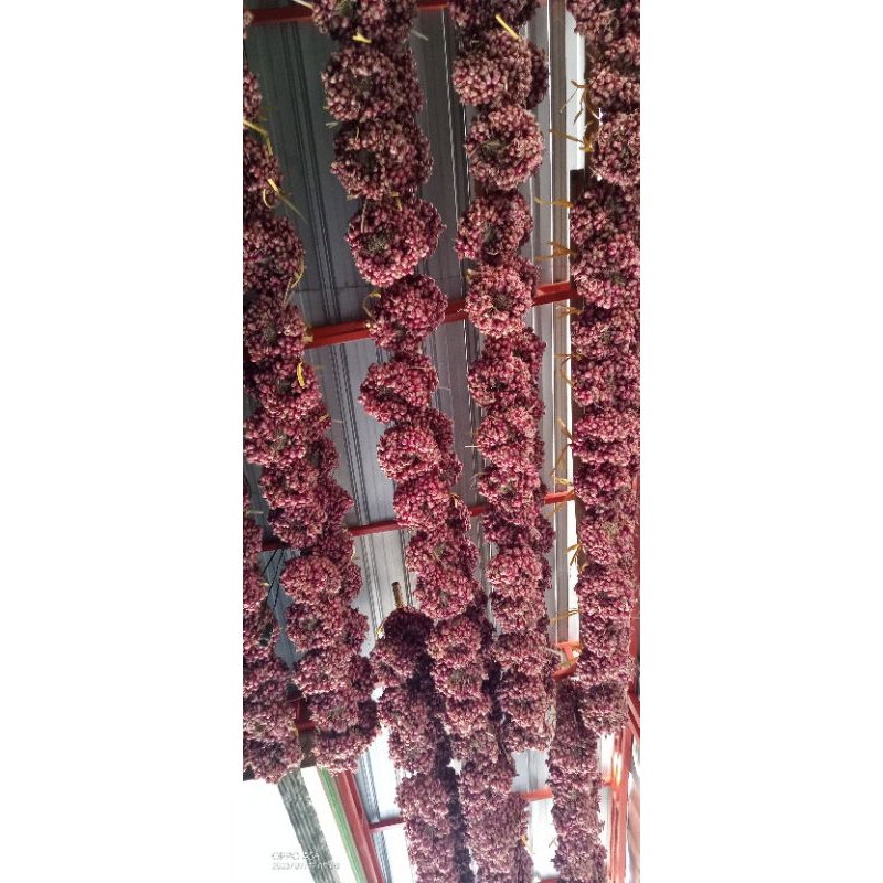 

bawang merah