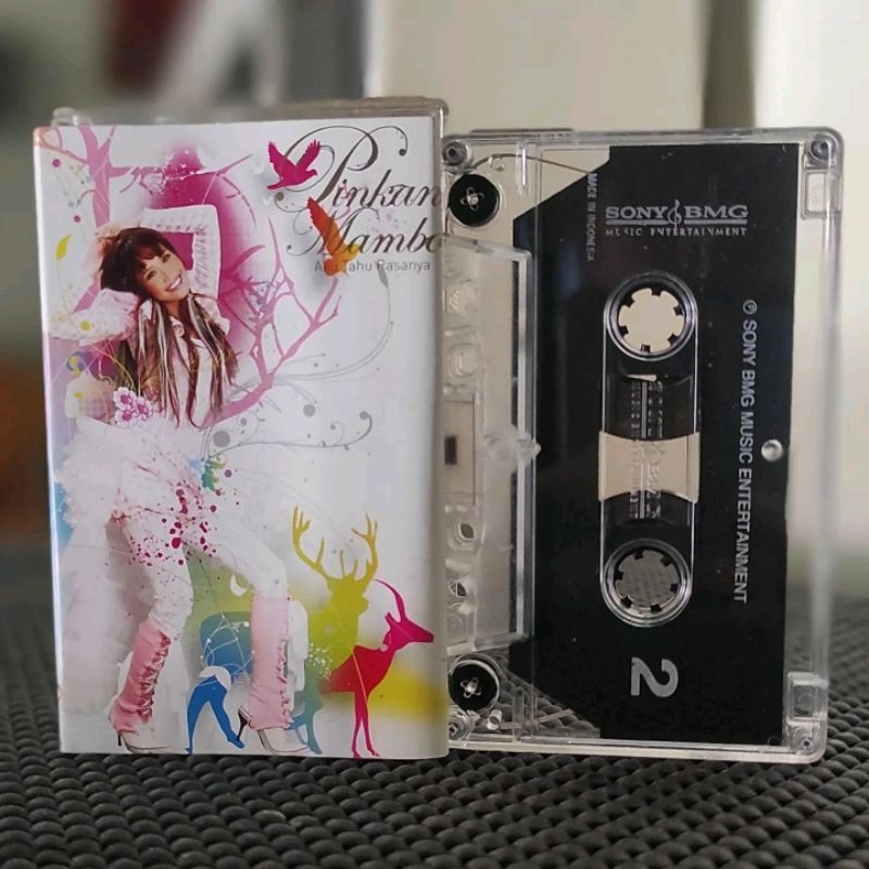 Kaset Pita Pinkan Mambo - Aku Tahu Rasanya