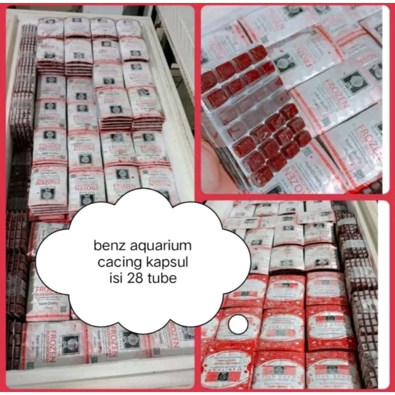 Promo Cacing Beku Makanan Ikan Cupang Discus Cacing Kapsul 1000gr