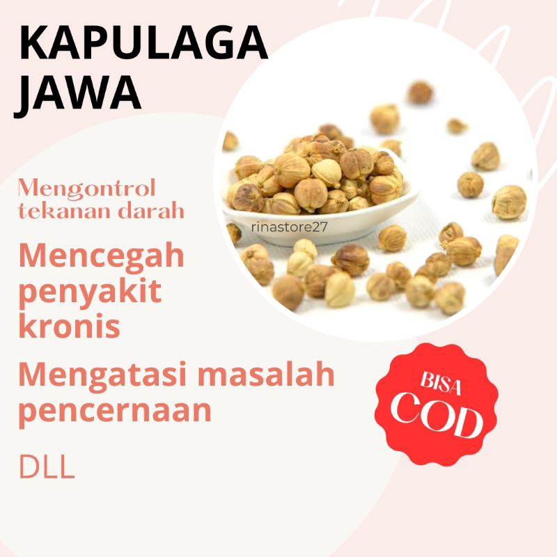 

kapulaga100 gram super kering & bersih