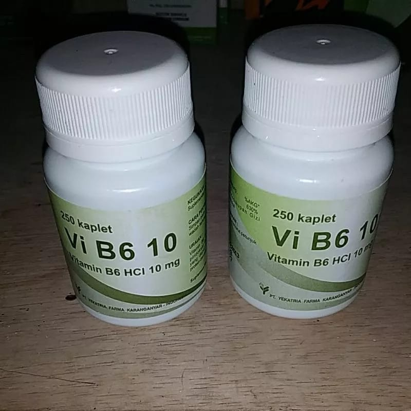 Vitamin B6 pot isi 250