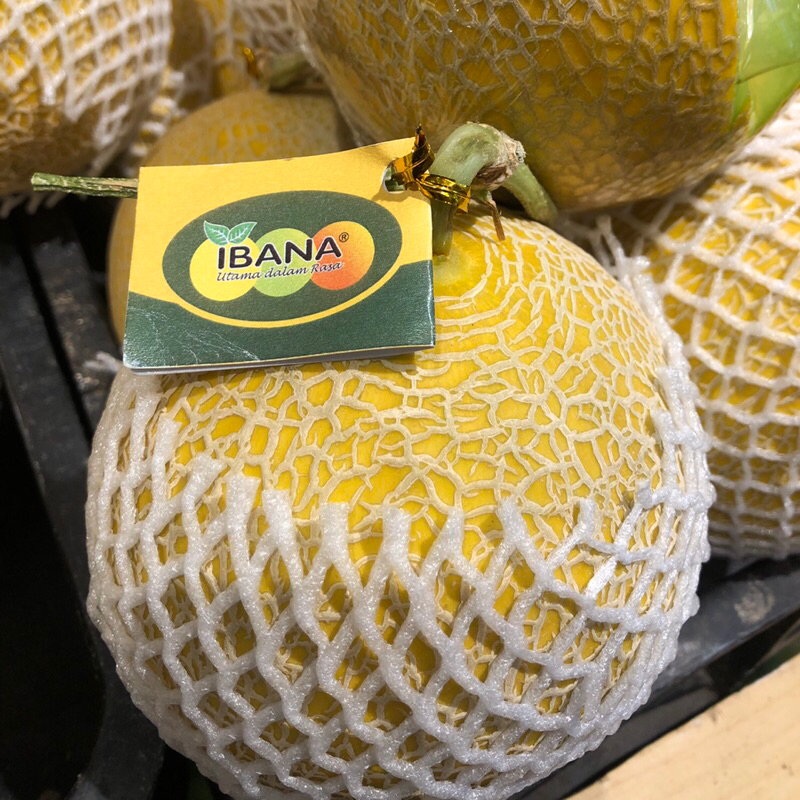 

Melon Greenigal Ibana Hijau / Pcs