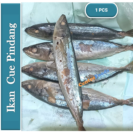 

Ikan Cue - Ikan Pindang Fresh | 1 Pcs [ Harga Per PCS ]