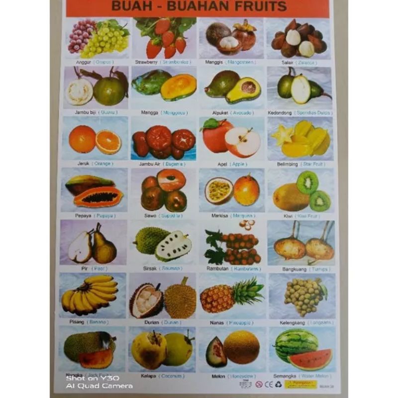 

Poster pembelajaran anaka