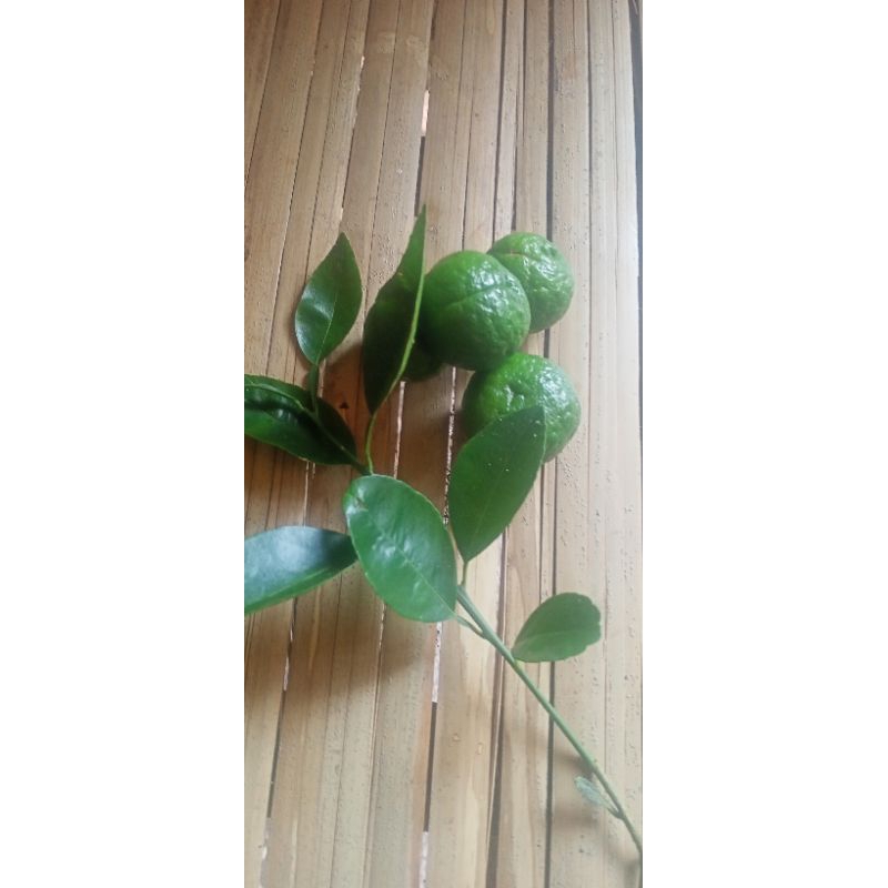 

BUAH JERUK LIMAU/LIMO | JERUK SAMBAL SEGAR
