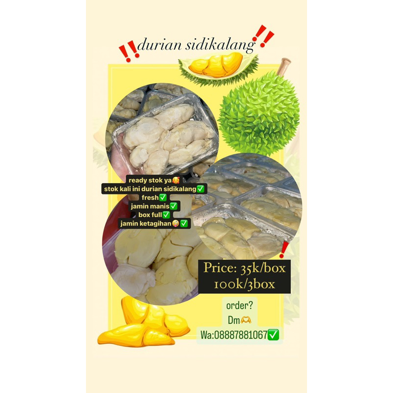 

DURIAN SIDIKALANG