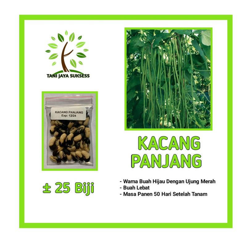 10 Benih Kacang Panjang Benih Kacang Panjang Unggul Berkualitas Kacang Panjang Bibit Sayuran