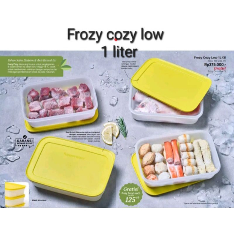 frozy cozy low 1L tupperware wadah tempat penyimpanan freezer tupperware