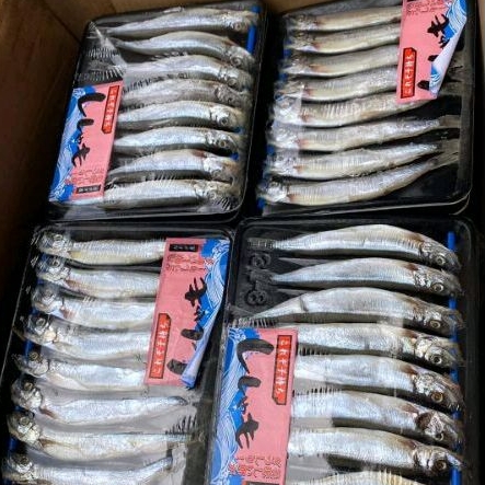 

Ikan Shisamo Capelin Fish 170g /pack