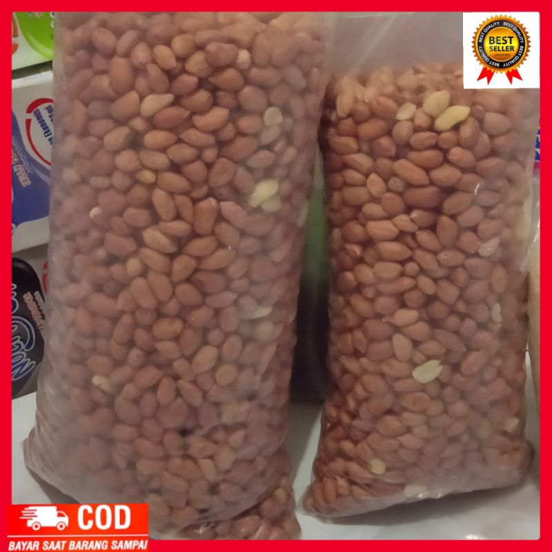 

kacang tanah kiloan murah sangat berkualitas
