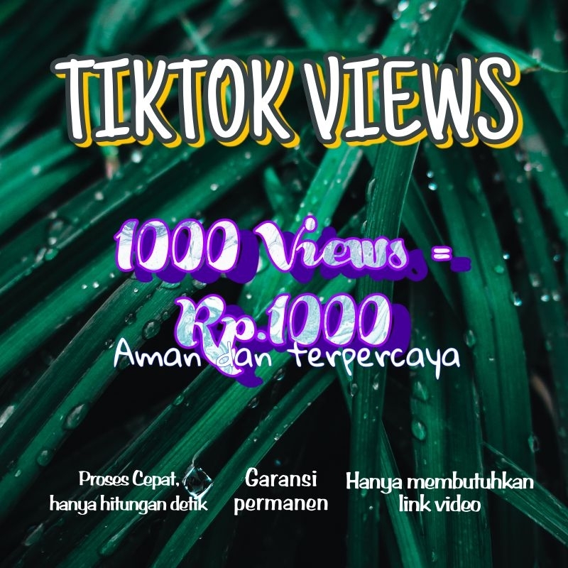 jasa penambahan view toktok