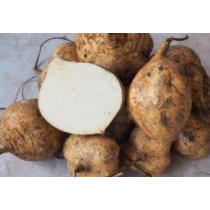 

BENGKUANG FRESH 1KG