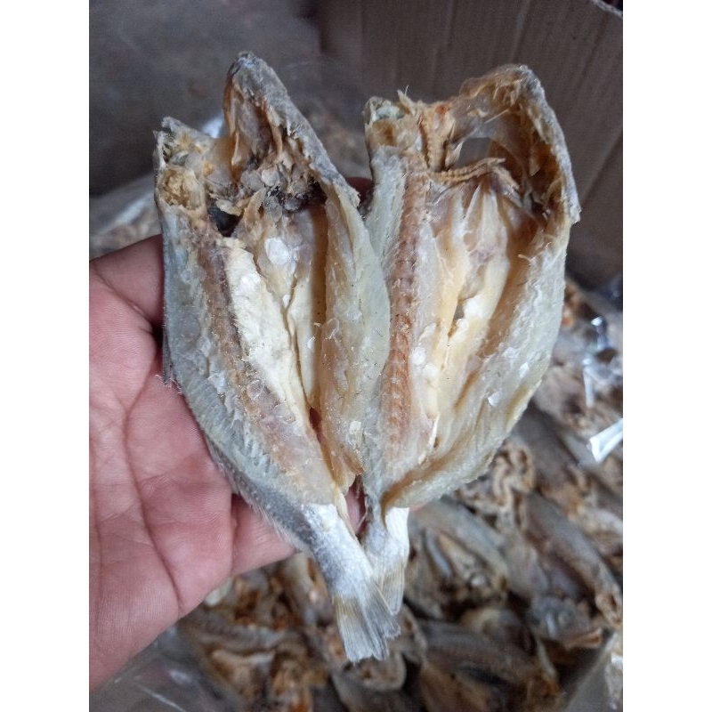 

ikan asin samge belah 500 g