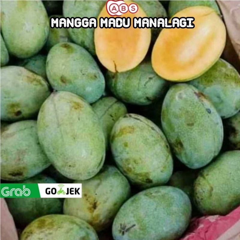 

Buah mangga madu manalagi 1KG situbundo | mangga manalagi manis 1KG madu