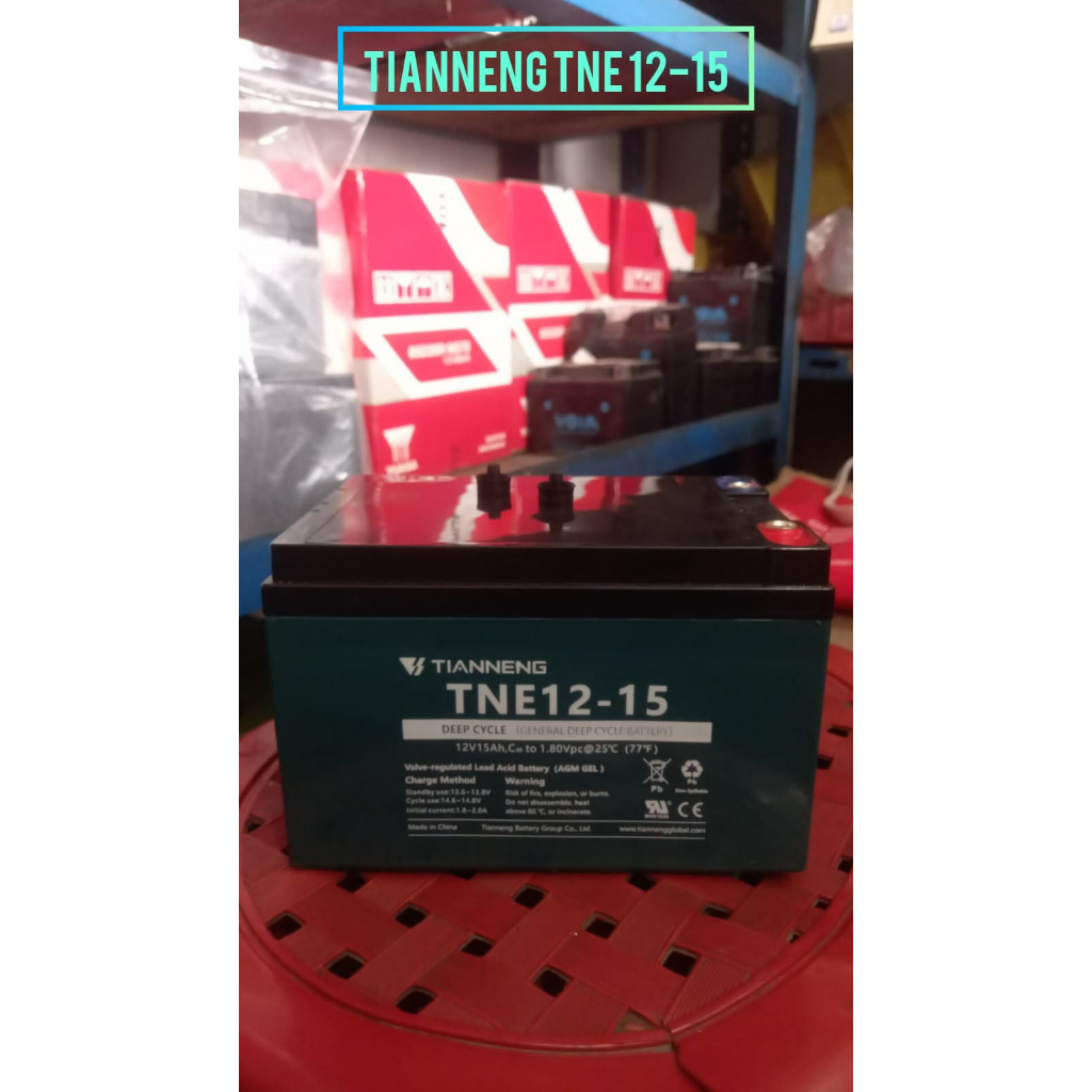 Battery Sepeda Listrik selis hornet original Tianneng TNE12-15 6DZM12