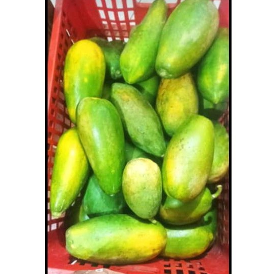 

READY BUAH SEGAR MALANG PEPAYA MURAH MALANG KOTA GRATIS ONGKIR