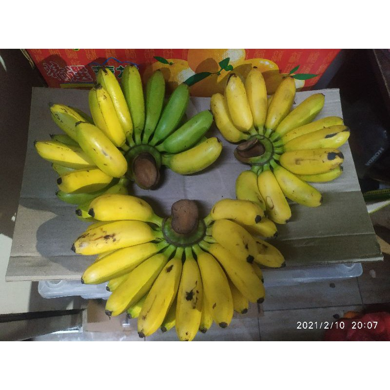 

QUEEN BUAH - BUAH PISANG MAS ORGANIC
