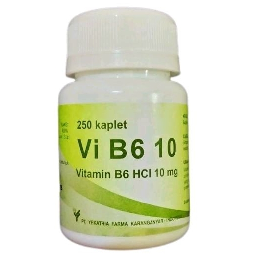 VI B6 10 - VITAMIN B6 10mg (250's /Botol)