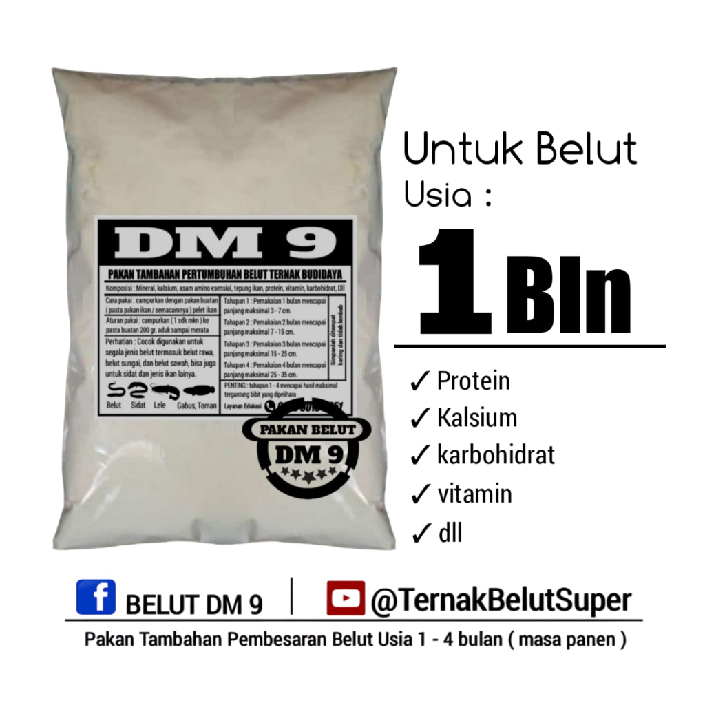 pakan belut ternak budidaya DM 9 usia 1 bulan