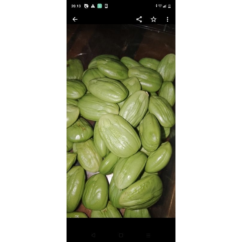 

Petai/ Pete Kupas Bersih 100 gram/ 1 ons 250 gram/2,5 ons Fresh