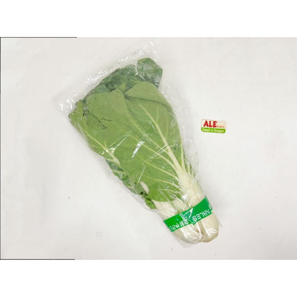 

Sawi manis fresh, sayur sawi manis, sawi manis segar