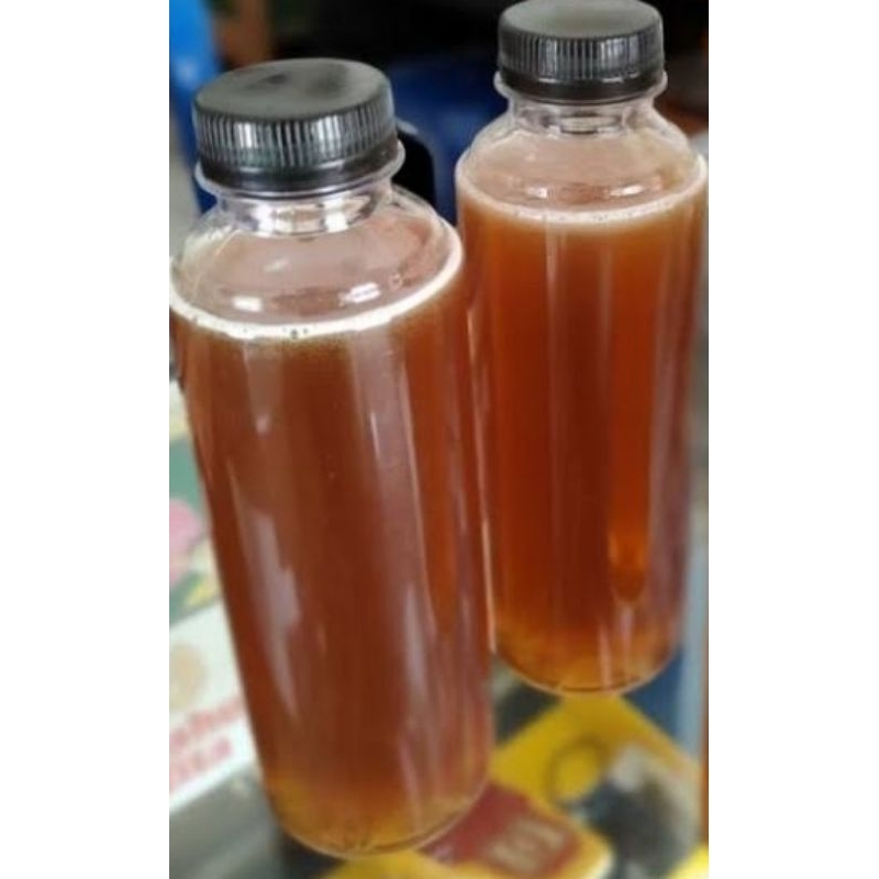 

madu tawon gong