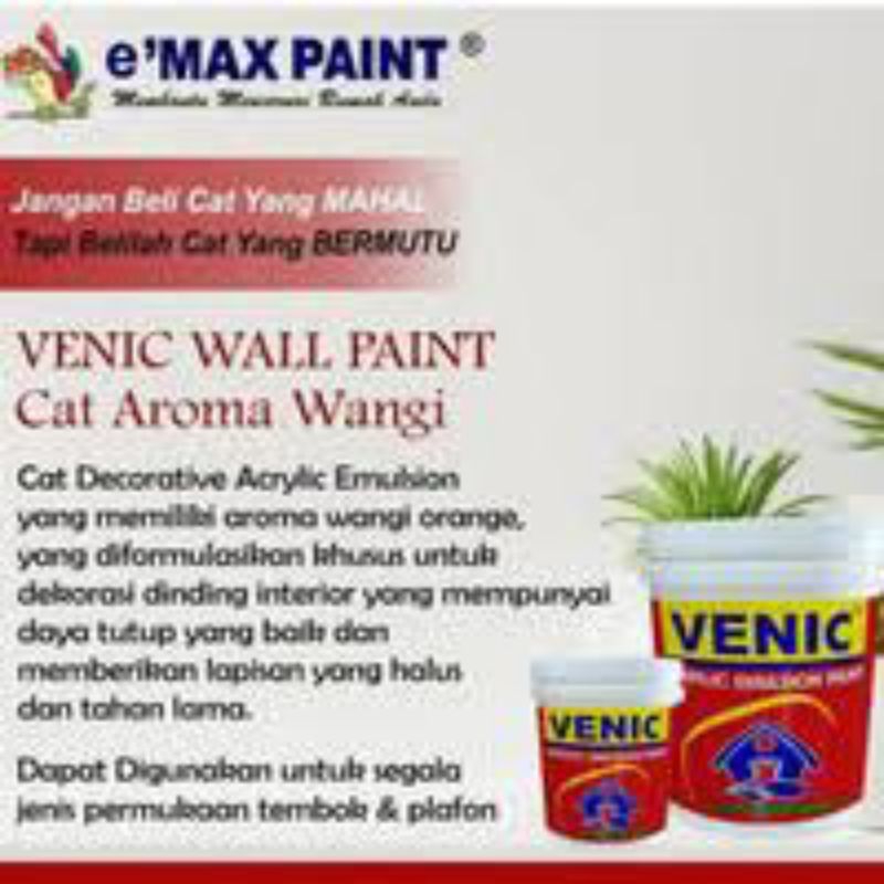 Alkali Sealer VENIC 5kg