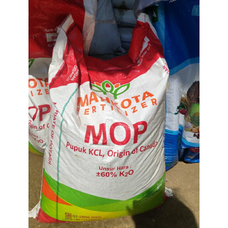 Pupuk KCL 1 Kg repack